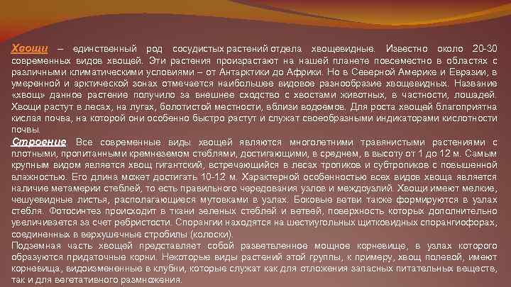 Хвощи – единственный род сосудистых растений отдела хвощевидные. Известно около 20 -30 современных видов