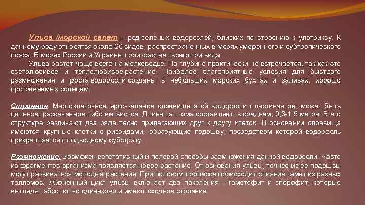 Ульва /морской салат – род зелёных водорослей, близких по строению к улотриксу. К данному