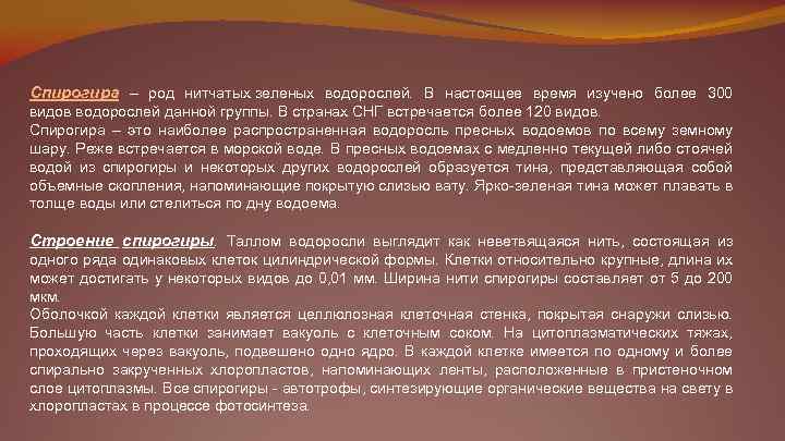 Спирогира – род нитчатых зеленых водорослей. В настоящее время изучено более 300 видов водорослей