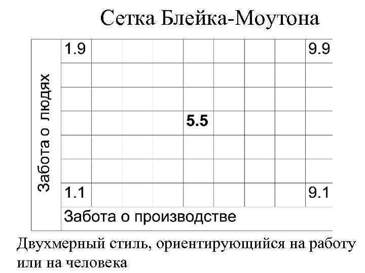 Сетка Блейка-Моутона Двухмерный стиль, ориентирующийся на работу или на человека 