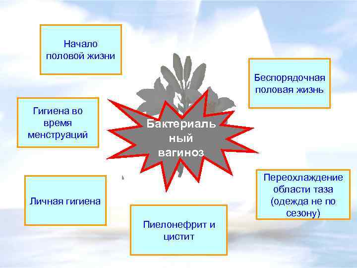 Начало половой жизни Беспорядочная половая жизнь Гигиена во время менструаций Бактериаль ный вагиноз Переохлаждение