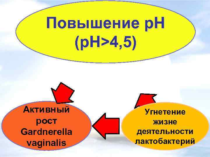 Повышение p. H (p. H>4, 5) Активный рост Gardnerella vaginalis Угнетение жизне деятельности лактобактерий