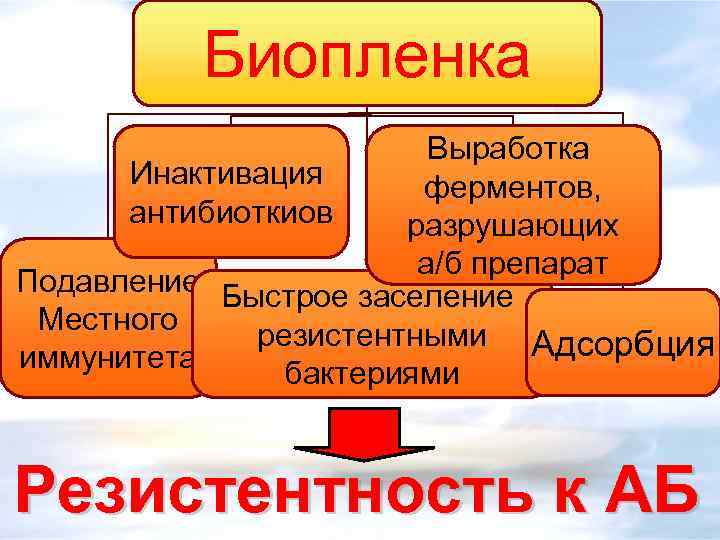 Биопленка Выработка Инактивация ферментов, антибиоткиов разрушающих а/б препарат Подавление Быстрое заселение Местного резистентными Адсорбция