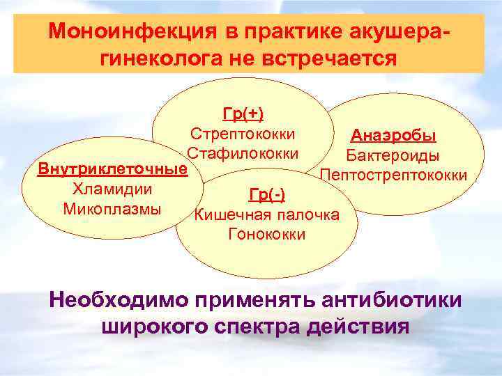 Моноинфекция в практике акушерагинеколога не встречается Гр(+) Стрептококки Анаэробы Стафилококки Бактероиды Внутриклеточные Пептострептококки Хламидии