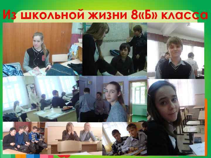 Из школьной жизни 8 «Б» класса 