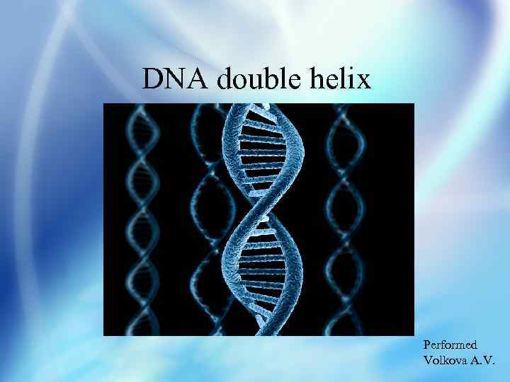 DNA double helix Performed Volkova A. V. 