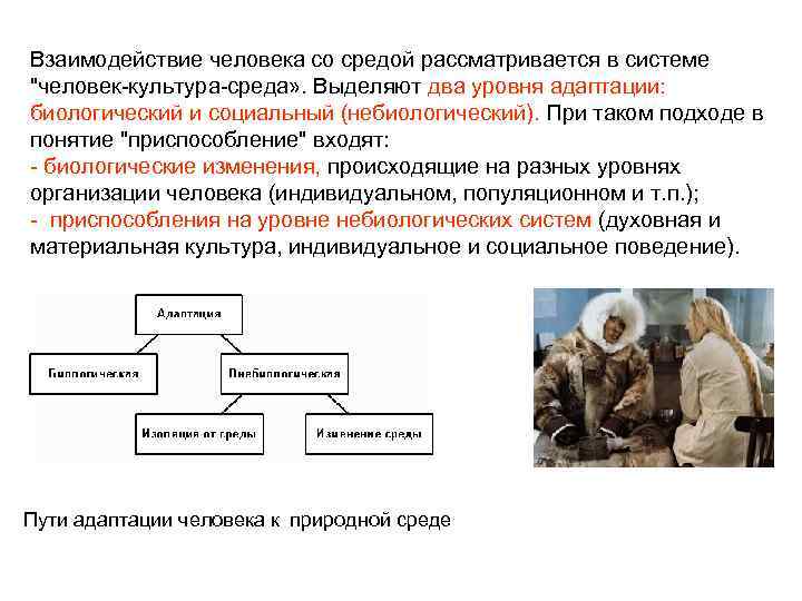 Взаимодействие человека со средой рассматривается в системе 