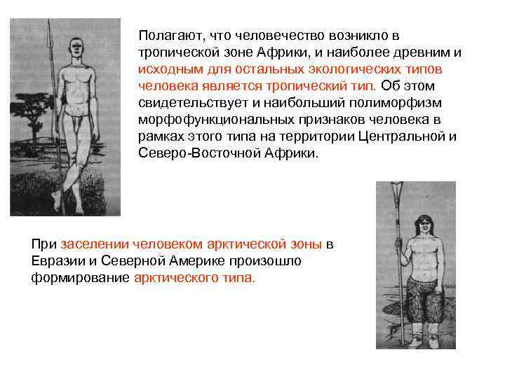 Полагают, что человечество возникло в тропической зоне Африки, и наиболее древним и исходным для