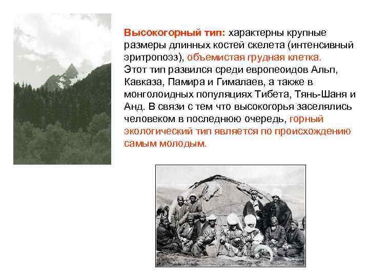 Высокогорный тип: характерны крупные размеры длинных костей скелета (интенсивный эритропоэз), объемистая грудная клетка. Этот