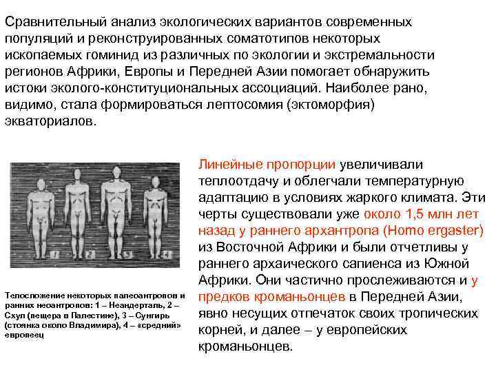 Сравнительный анализ экологических вариантов современных популяций и реконструированных соматотипов некоторых ископаемых гоминид из различных
