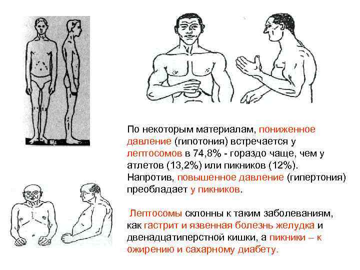 По некоторым материалам, пониженное давление (гипотония) встречается у лептосомов в 74, 8% - гораздо