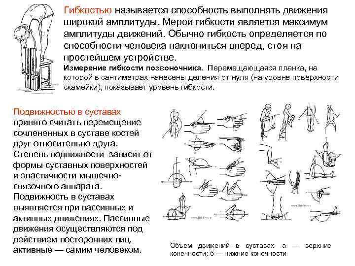 Способность выполнять движения амплитуды называется. Степень подвижности суставов. Активные и пассивные движения в суставах. Объем активных и пассивных движений в суставах. Активная и пассивная подвижность суставов.