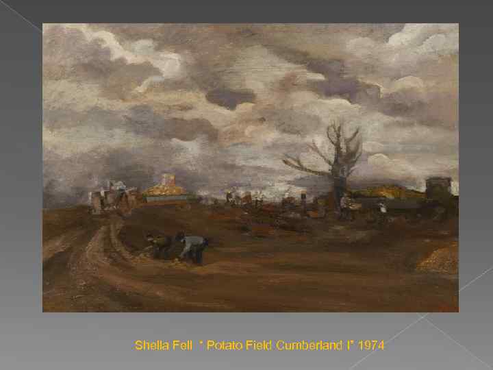 Shella Fell “ Potato Field Cumberland I” 1974 