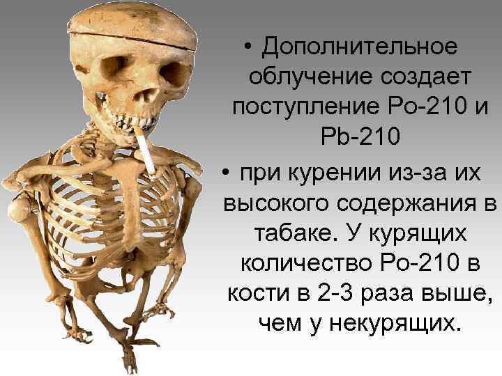  • Дополнительное облучение создает поступление Po-210 и Pb-210 • при курении из-за их