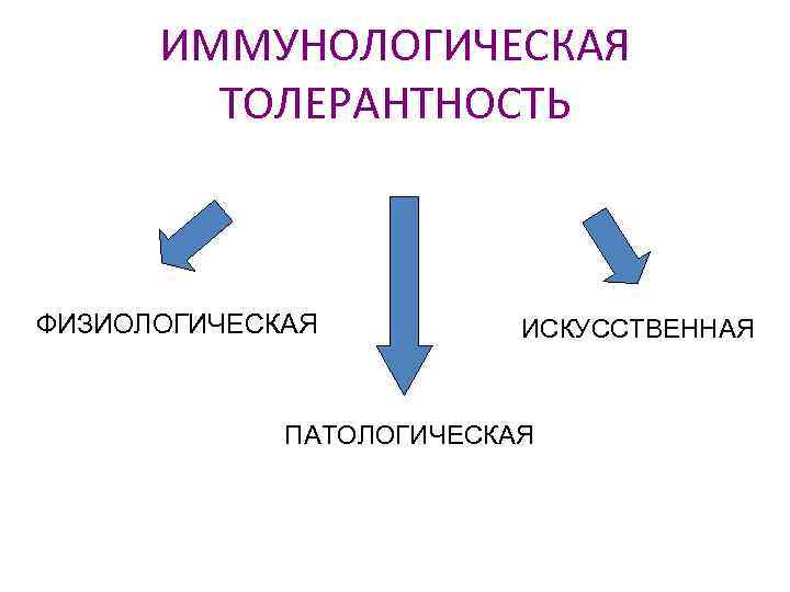 ИММУНОЛОГИЧЕСКАЯ ТОЛЕРАНТНОСТЬ ФИЗИОЛОГИЧЕСКАЯ ИСКУССТВЕННАЯ ПАТОЛОГИЧЕСКАЯ 