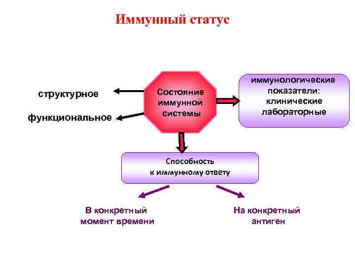 Иммунный статус Состояние иммунной системы структурное функциональное иммунологические показатели: клинические лабораторные Способность к иммунному