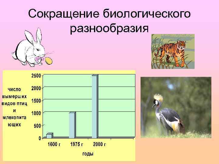 Сокращение биологического разнообразия 