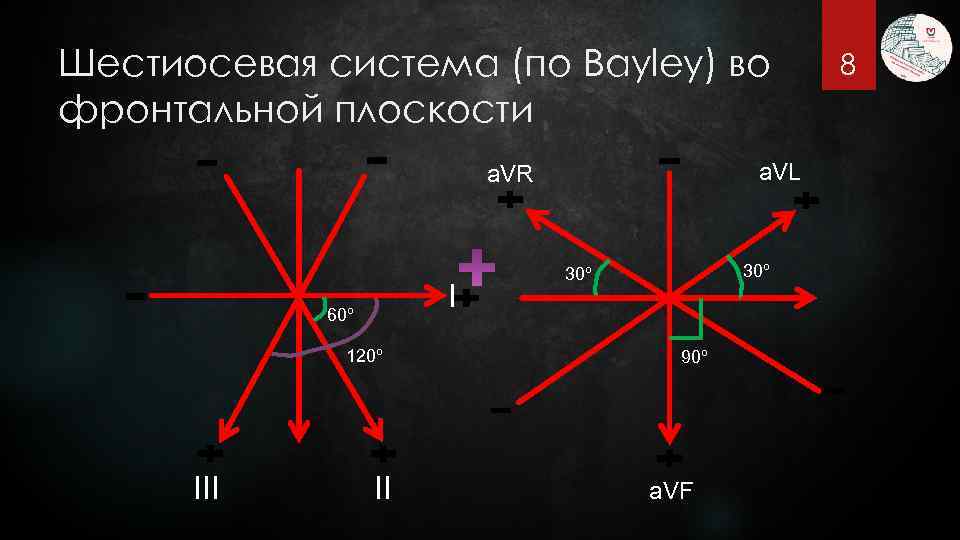 Шестиосевая система (по Bayley) во фронтальной плоскости a. VL a. VR I 60º 120º