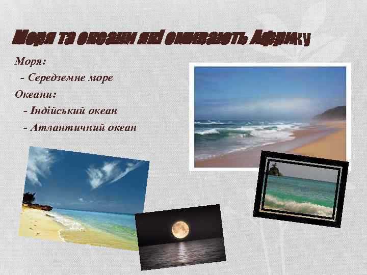 Моря та океани які омивають Африку Моря: - Середземне море Океани: - Індійський океан