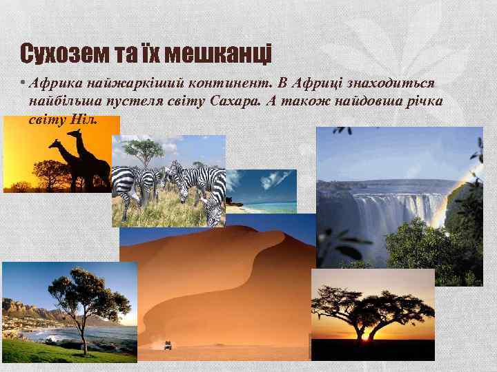Сухозем та їх мешканці • Африка найжаркіший континент. В Африці знаходиться найбільша пустеля світу