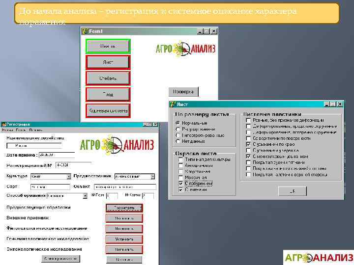 До начала анализа – регистрация и системное описание характера поражения 