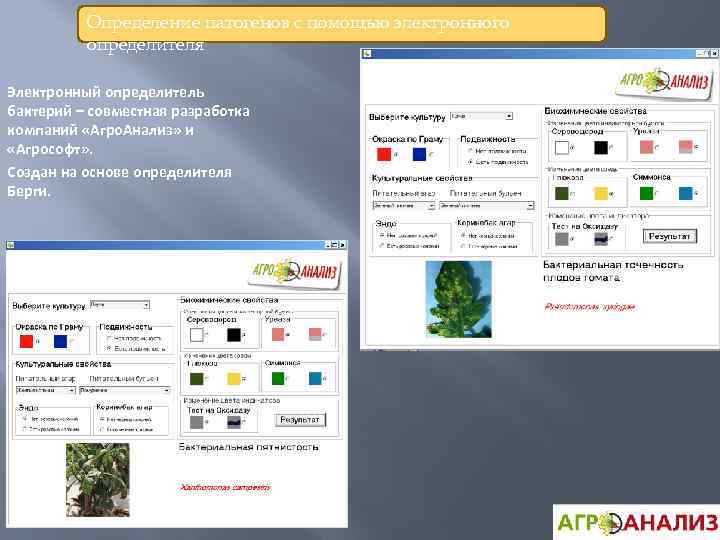 Определение патогенов с помощью электронного определителя Электронный определитель бактерий – совместная разработка компаний «Агро.