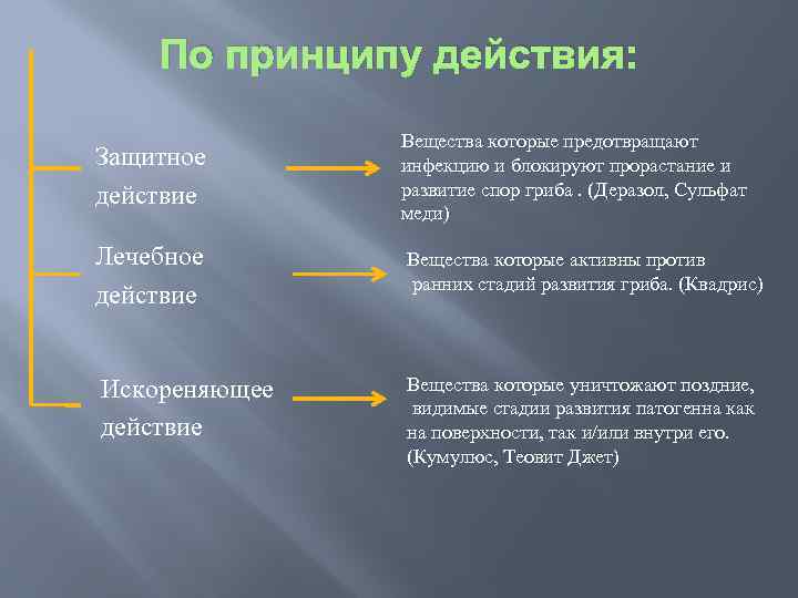 По принципу действия: Защитное действие Вещества которые предотвращают инфекцию и блокируют прорастание и развитие