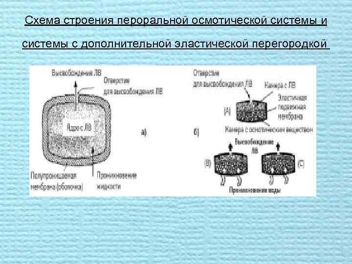 Схема строения пероральной осмотической системы и системы с дополнительной эластической перегородкой 