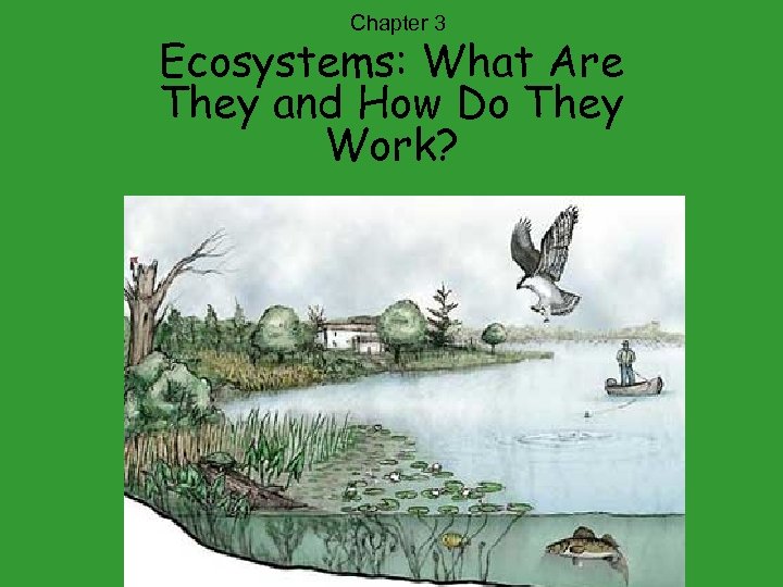 Chapter 3 Ecosystems: What Are They and How Do They Work? 