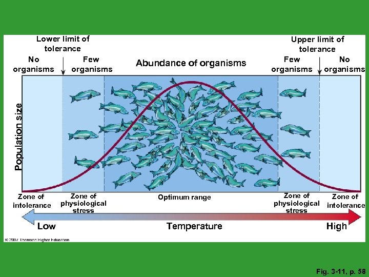 Abundance of organisms Upper limit of tolerance Few No organisms Population size Lower limit