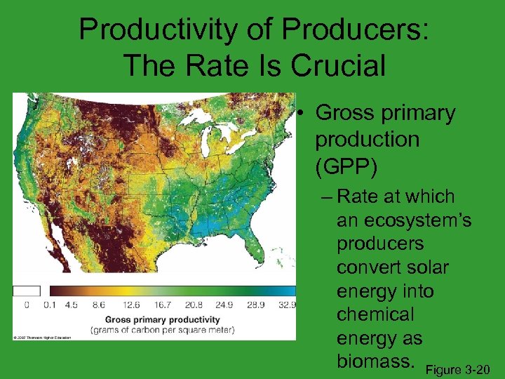 Productivity of Producers: The Rate Is Crucial • Gross primary production (GPP) – Rate