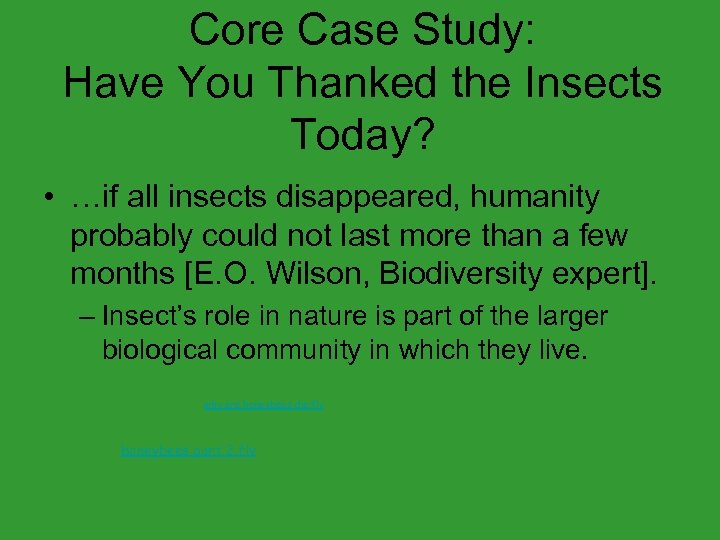 Core Case Study: Have You Thanked the Insects Today? • …if all insects disappeared,