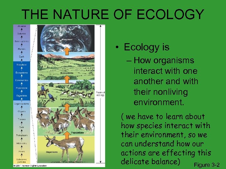 THE NATURE OF ECOLOGY • Ecology is – How organisms interact with one another