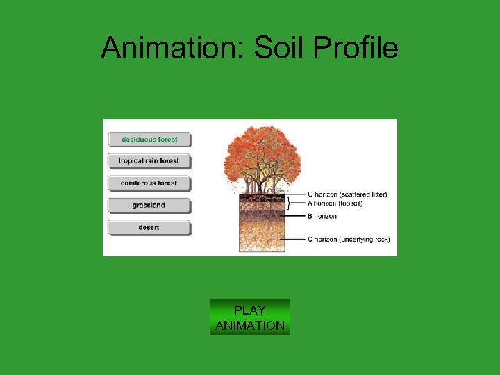 Animation: Soil Profile PLAY ANIMATION 