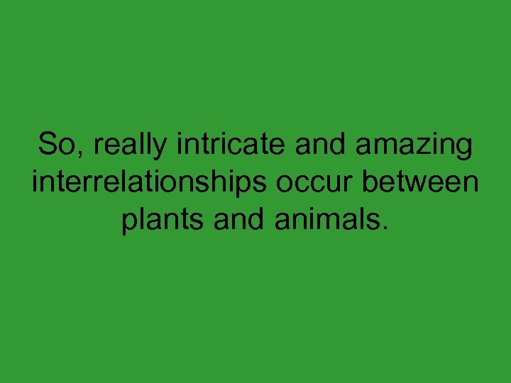 So, really intricate and amazing interrelationships occur between plants and animals. 