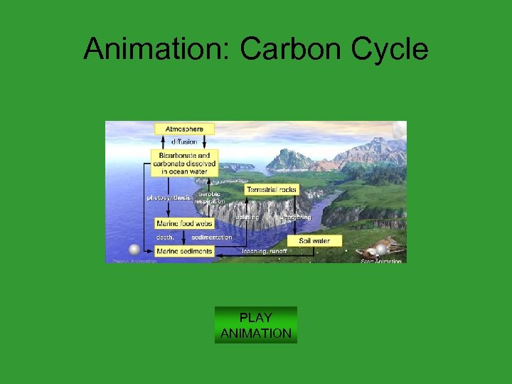 Animation: Carbon Cycle PLAY ANIMATION 