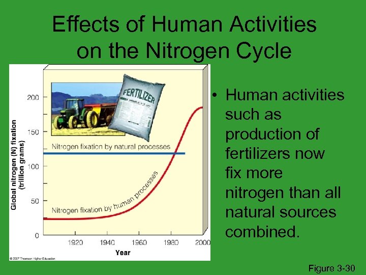Effects of Human Activities on the Nitrogen Cycle • Human activities such as production