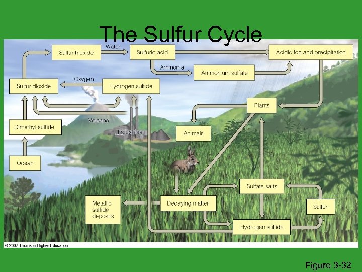 The Sulfur Cycle Figure 3 -32 