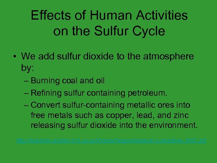 Effects of Human Activities on the Sulfur Cycle • We add sulfur dioxide to