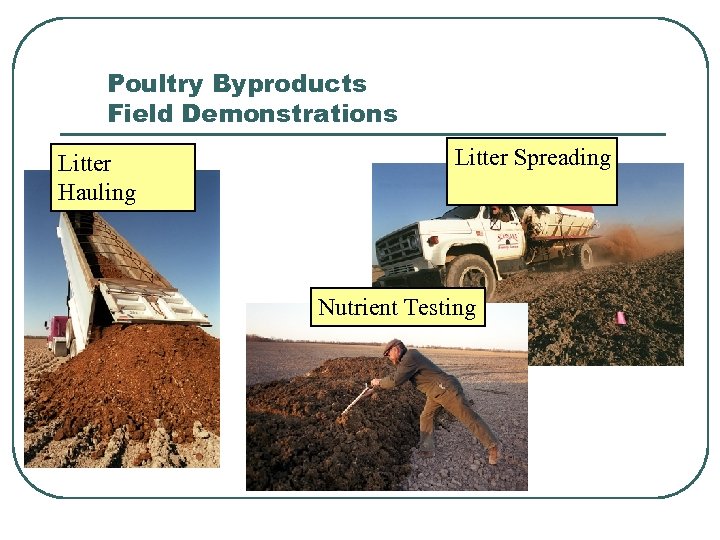 Poultry Byproducts Field Demonstrations Litter Hauling Litter Spreading Nutrient Testing 