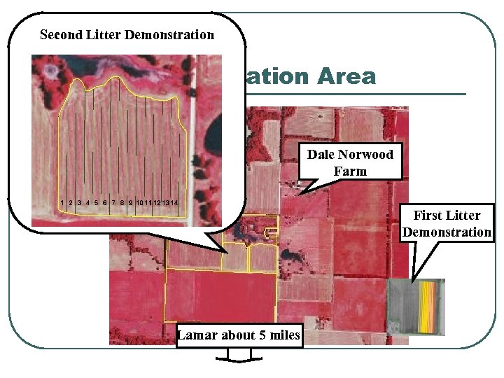 Second Litter Demonstration Area Dale Norwood Farm First Litter Demonstration Lamar about 5 miles