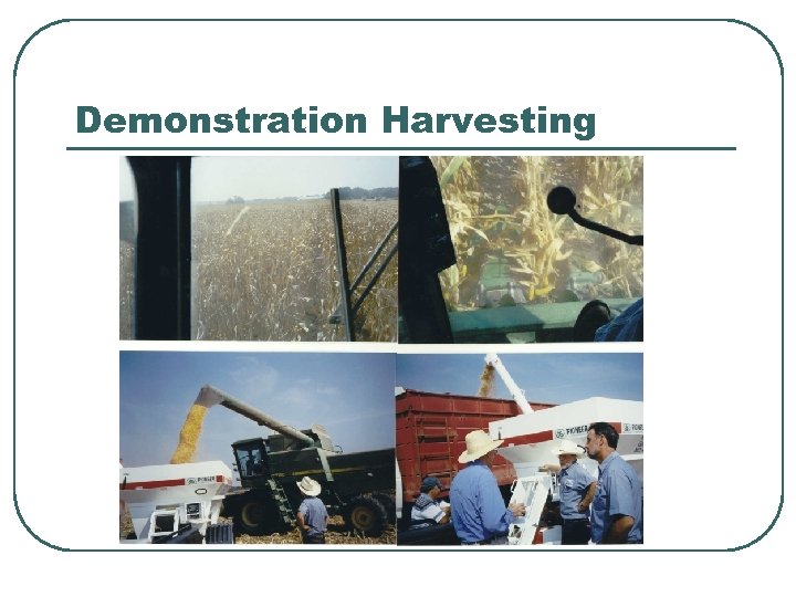 Demonstration Harvesting 