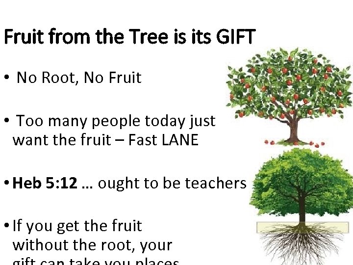 Fruit from the Tree is its GIFT • No Root, No Fruit • Too