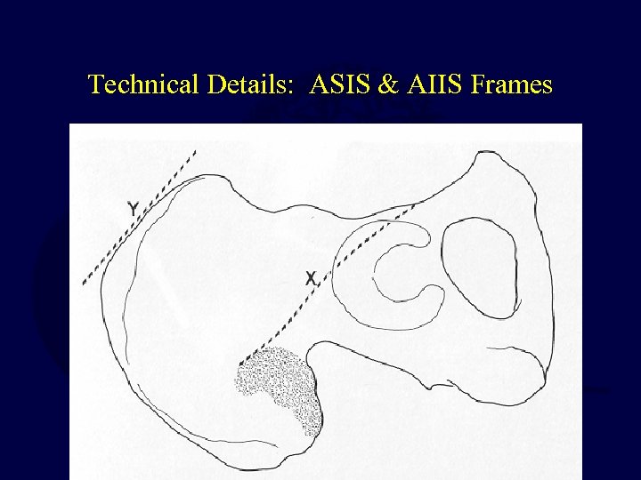 Technical Details: ASIS & AIIS Frames 