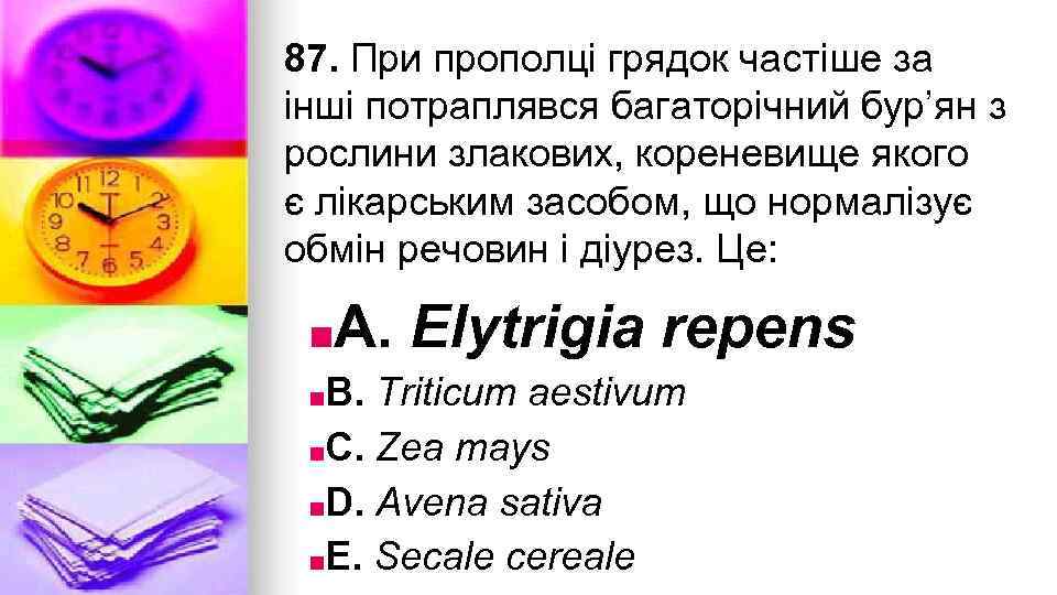 87. При прополцi грядок частiше за iншi потраплявся багаторiчний бур’ян з рослини злакових, кореневище