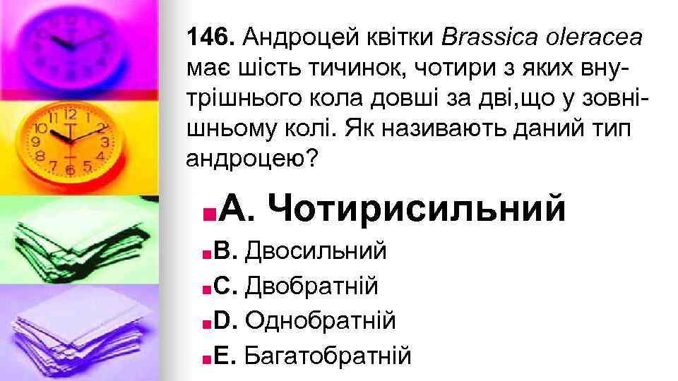 146. Андроцей квiтки Brassica oleracea має шiсть тичинок, чотири з яких внутрiшнього кола довшi