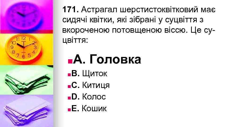 171. Астрагал шерстистоквiтковий має сидячi квiтки, якi зiбранi у суцвiття з вкороченою потовщеною вiссю.