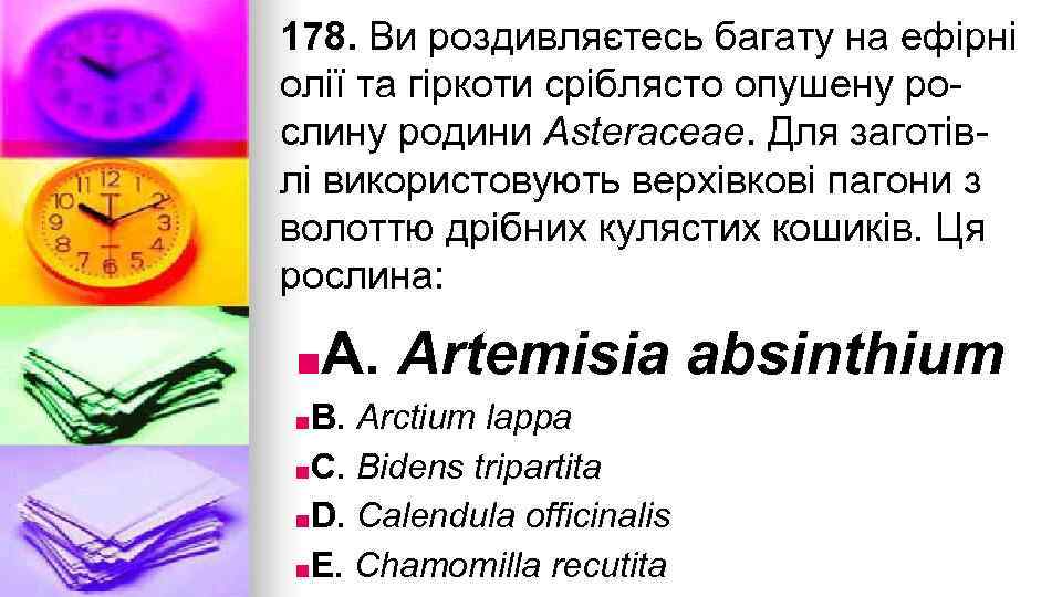 178. Ви роздивляєтесь багату на ефiрнi олiї та гiркоти срiблясто опушену рослину родини Asteraceae.