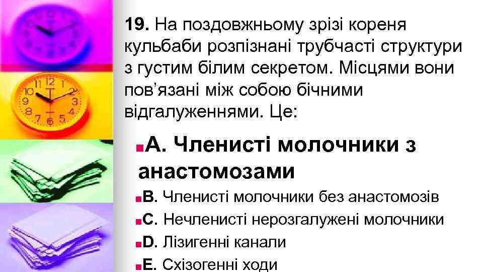 19. На поздовжньому зрiзi кореня кульбаби розпiзнанi трубчастi структури з густим бiлим секретом. Мiсцями