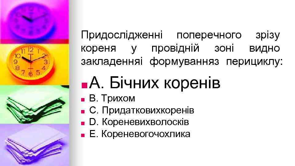 Придослiдженнi поперечного зрiзу кореня у провiднiй зонi видно закладенняi формуванняз перициклу: ■ A. ■
